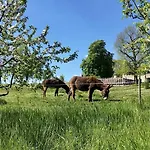 Domaine Casa Sana Pillac