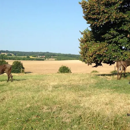 Oda ve Kahvaltı Casa Sana Pillac