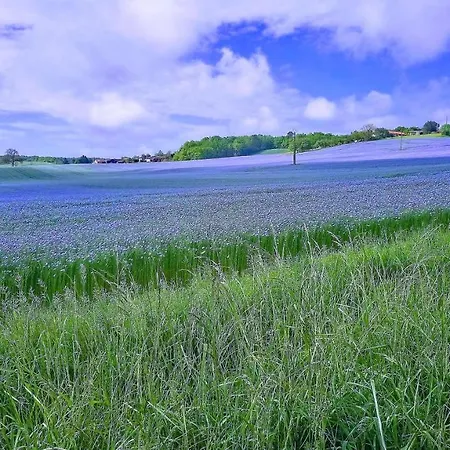 Casa Sana Bed & Breakfast