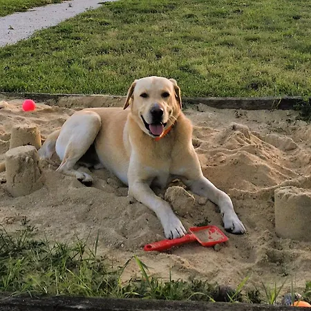 Casa Sana Bed & Breakfast