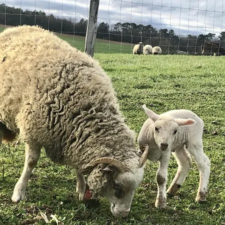 Bed & Breakfast Casa Sana Pillac