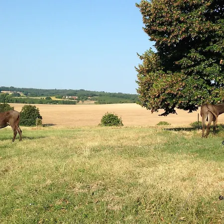 Bed & Breakfast Casa Sana 3*