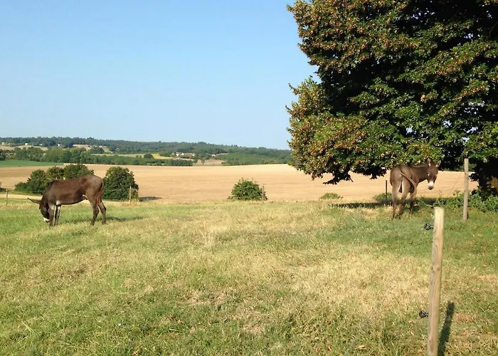 Bed and breakfast Casa Sana Pillac