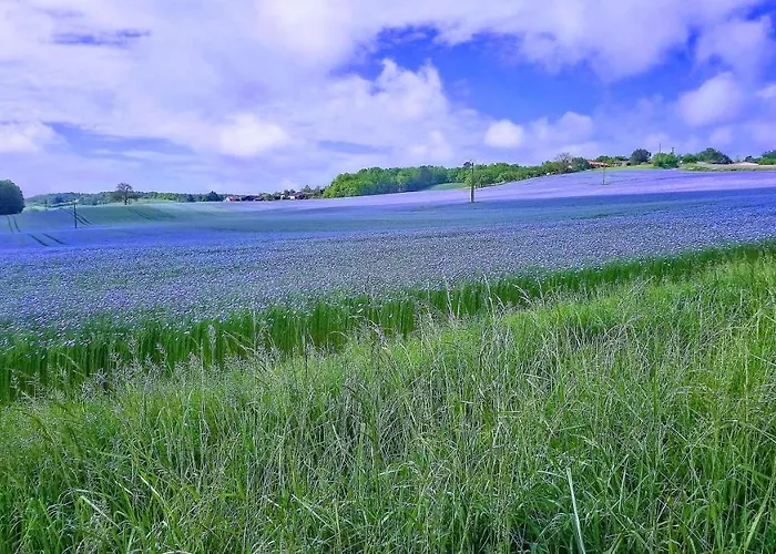 Casa Sana Bed and breakfast