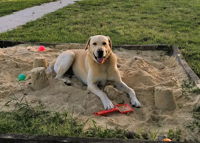 Casa Sana Bed and breakfast