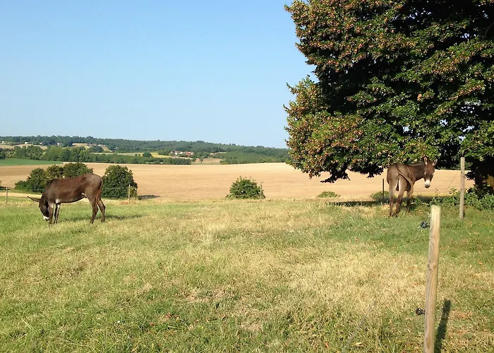 Bed and breakfast Casa Sana 3*